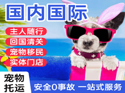 大庆萨尔图航空快递国际宠物托运 【国